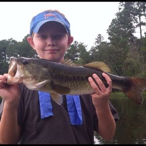 Meet your Posher, Hank